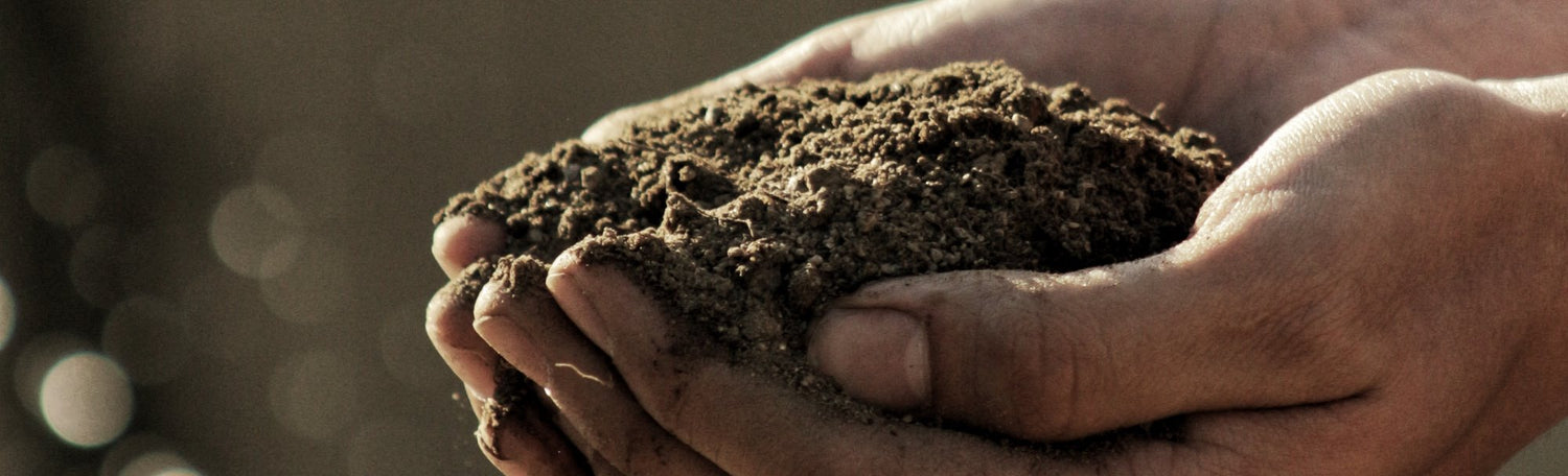 A Head Of Nature - Natural Auckland Hairdressers & Hairstylists