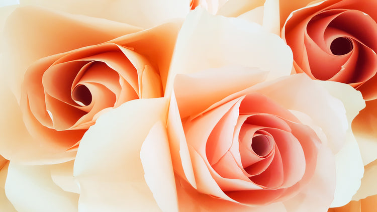 Rose for Curly Hair